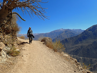 Obraz premium Hiking girl in the Colca canyon, Peru