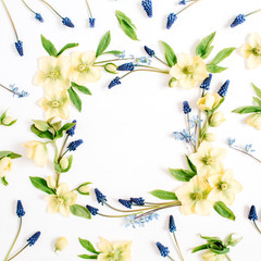 Frame wreath made of hellebore flower, muscari flower and leaf on white background. Flat lay, top view.
