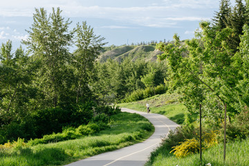 Man cycling along a trail in a park