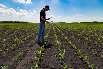 Agronomist Using a Tablet in an Agricultural Field