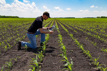 Agronomist Using a Tablet in an Agricultural Field