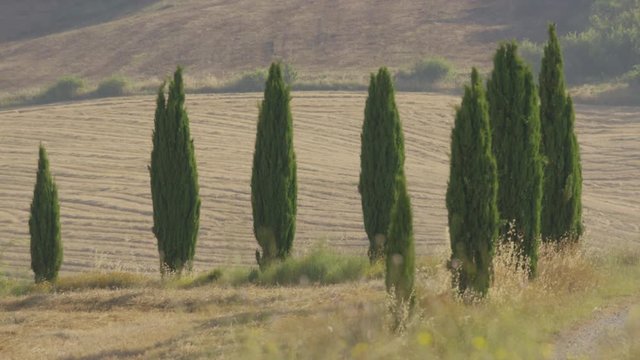 Wide panning shot of woman running on winding rural road. Pienza, Tuscany, Italy