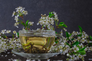 Cup of tea and cherry blossom branch