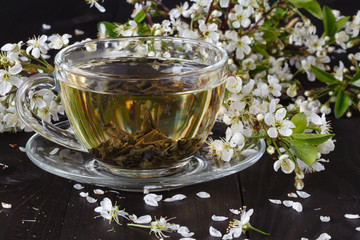 Cup of tea and cherry blossom branch