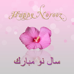 Noble, elegant Persian New Year illustration: A pink hibiscus bloom with New Year wishes in english and farsi on a bokeh background.