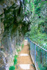 The Karangahake Gorge lies between the Coromandel and Kaimai ranges, at the southern end of the Coromandel, river flowing through Karangahake gorge surrounded by native rainforest, Peninsula in New