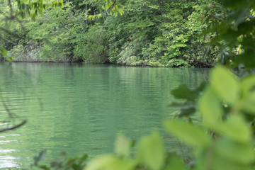 Nature Lake