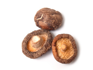 Dry Mushrooms isolated on white background.