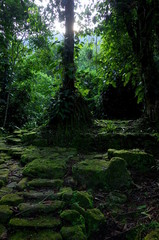 Stone paths leading to Ciudad Perdida (Lost City) in Colombia