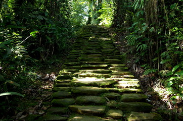 Stone paths leading to Ciudad Perdida (Lost City) in Colombia