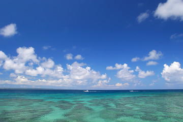 コーラルグリーンの沖縄の海 © EarthScape