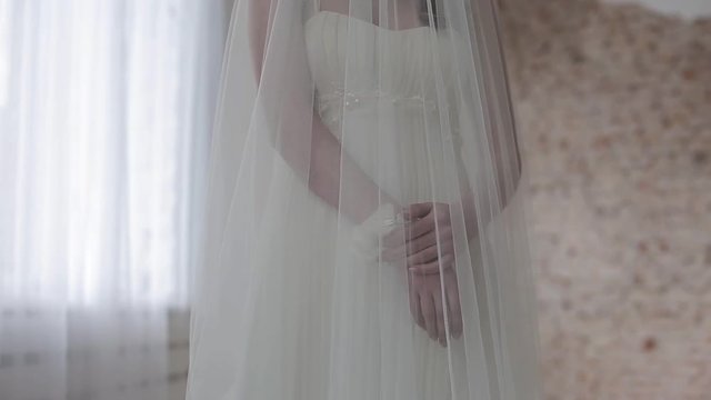 Beauty bride in bridal gown indoors