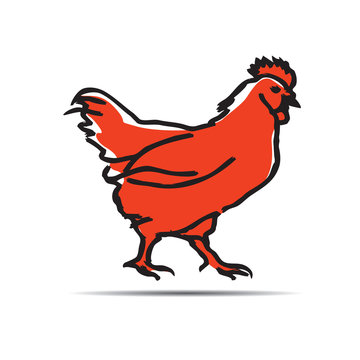 Black hand drawn chicken. Vector Illustration
