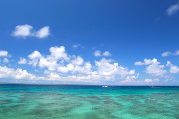コーラルグリーンの沖縄の海