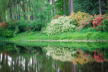 Obraz premium Trees reflection on water surface. Natural abstract forest background. Sunny day. Flowers at the background. Idyllic scene. Copy space, place for text.