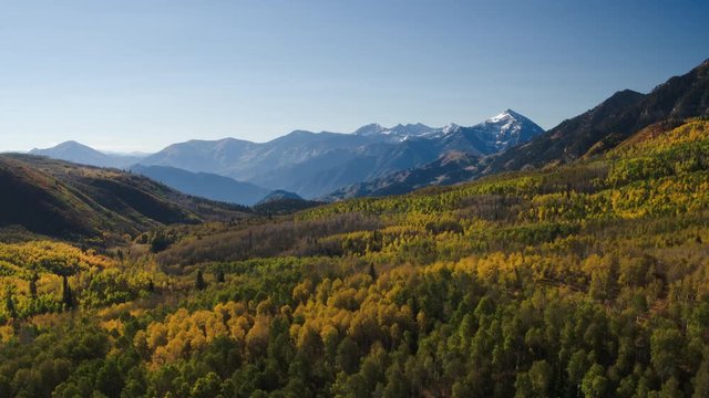 Wide flyover shot of autumn trees near mountain. Wasatch Mountains, Utah, United States