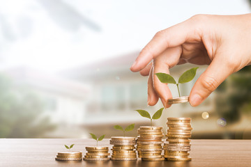 Growing money for your business