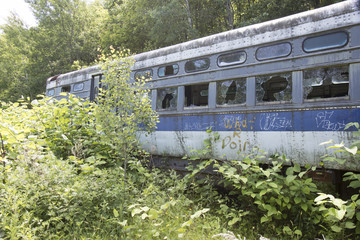 Commuter train compartment in weeds