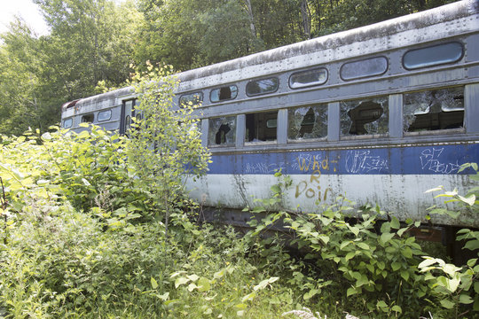 Fototapeta Commuter train compartment in weeds