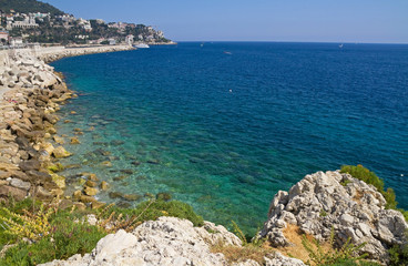 Fototapeta na wymiar Felsen und grünblaues Wasser in der Bucht von Nizza
