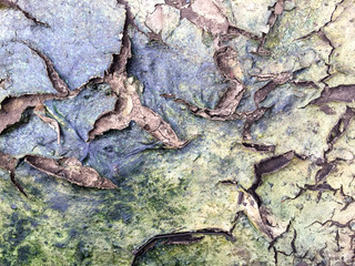 Closeup of dry soil
