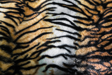 Fototapeta na wymiar tiger skin or tiger leather texture stripe pattern closeup background