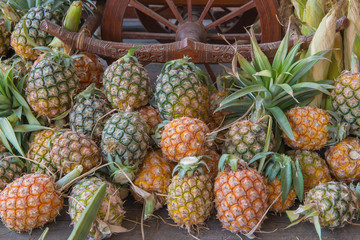 fresh of pineapple fruit in the market