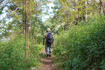 Obraz premium soldier or chasseur walking through a forest with lush grass