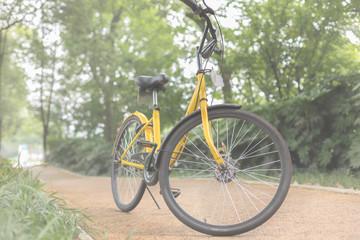 Fototapeta premium A yellow bicycle on the Boulevard