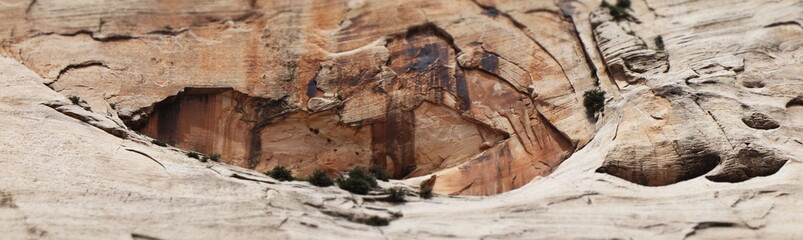 Rock face in Zion Park