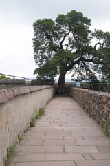 Fototapeta premium Auerbach Castle Germany rampart walkway