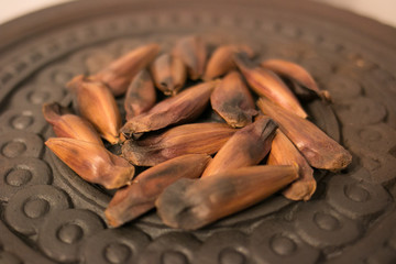Pinhão