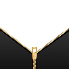 Background with zipper. Vector Image.