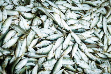 Fototapeta premium Seafood at Vietnam