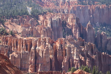 Hoodoos in Bryce Canyon