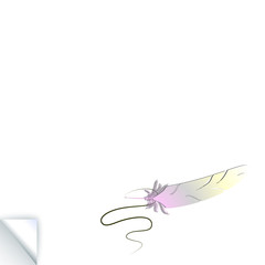 белый фон с птичьим пером, векторная иллюстрация