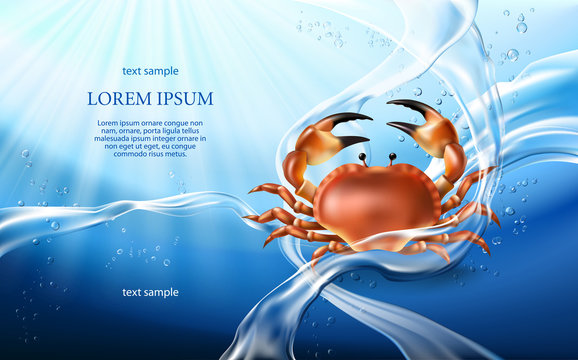 Vector illustration banner with flows and drops of crystal clear water of light blue color and red crab. Marine background