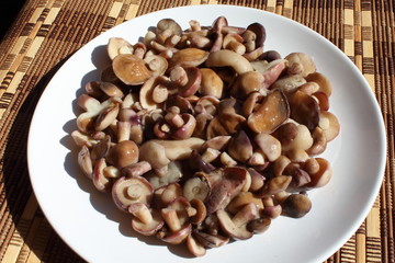 Fototapeta na wymiar Pickled (salted) mushrooms Suillus on a white plate.