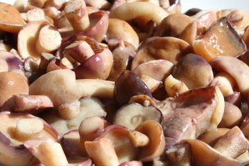 Pickled (salted) young mushrooms Suillus.