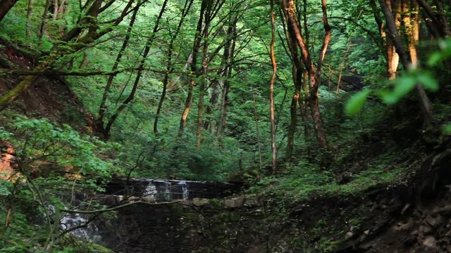 Rusyliv Falls is located on the Rusyliv river (right tributary of the Strypa River), Ternopil region of western Ukraine