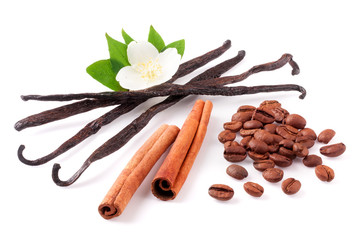 Vanilla sticks and cinnamon with coffee beans and flower isolated on white background