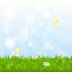 Fototapeta na wymiar Nature meadow background with flowers, grass, sky and butterfly.
