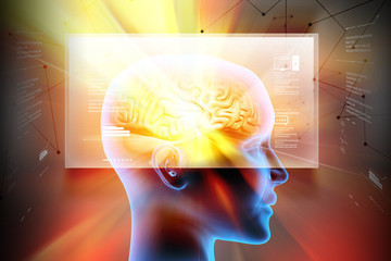 Obraz premium representation of female brain