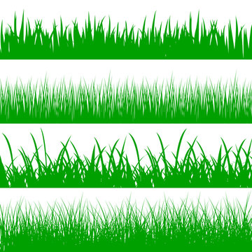 Set green grass on white background - stock vector