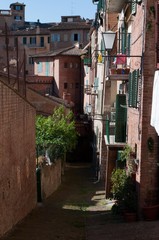 Siena