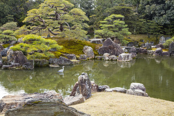 Nijojo castle gardens