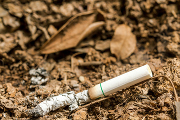 Cigarettes contain processed tobacco leaves in paper cylinders. The tobacco contains addictive and harmful substances. Tossing a cigarette stub carelessly can cause a severe and uncontrollable fire.