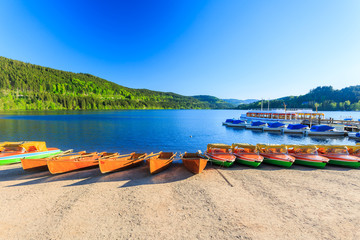 Fototapeta na wymiar Lake Titisee Neustadt in the Black Forest.