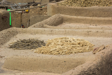 Herbs drying on the roof top of a mud house, Sangha, Mali