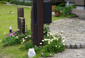 庭の花　玄関先の花 © momo2oki
